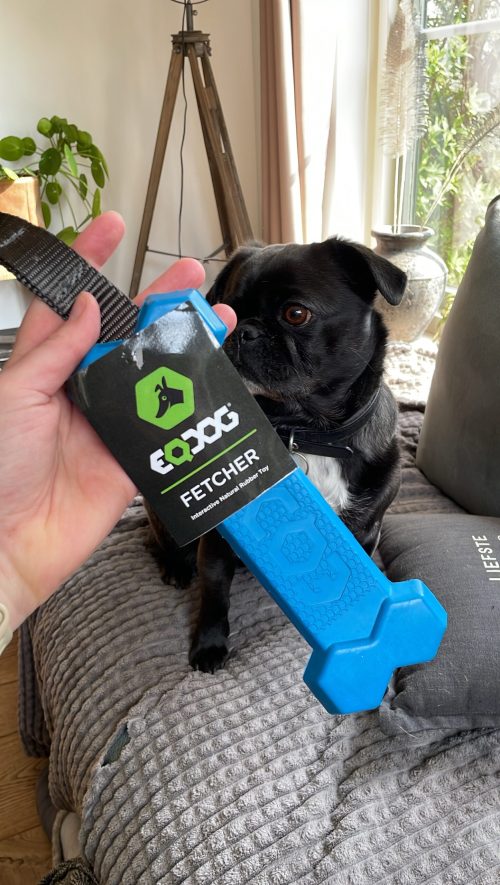 Eqdog fetcher - Afbeelding 2