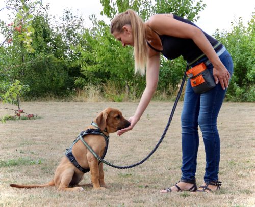 EQDOG Click´n Treat™ II bag beloningstasje oranje - Afbeelding 4