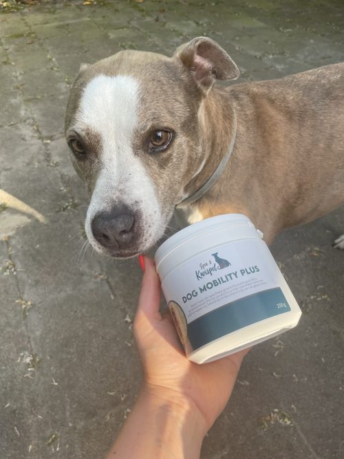 Dog Mobility plus 250gr - Afbeelding 2