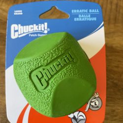 Chuckit Erratic ball