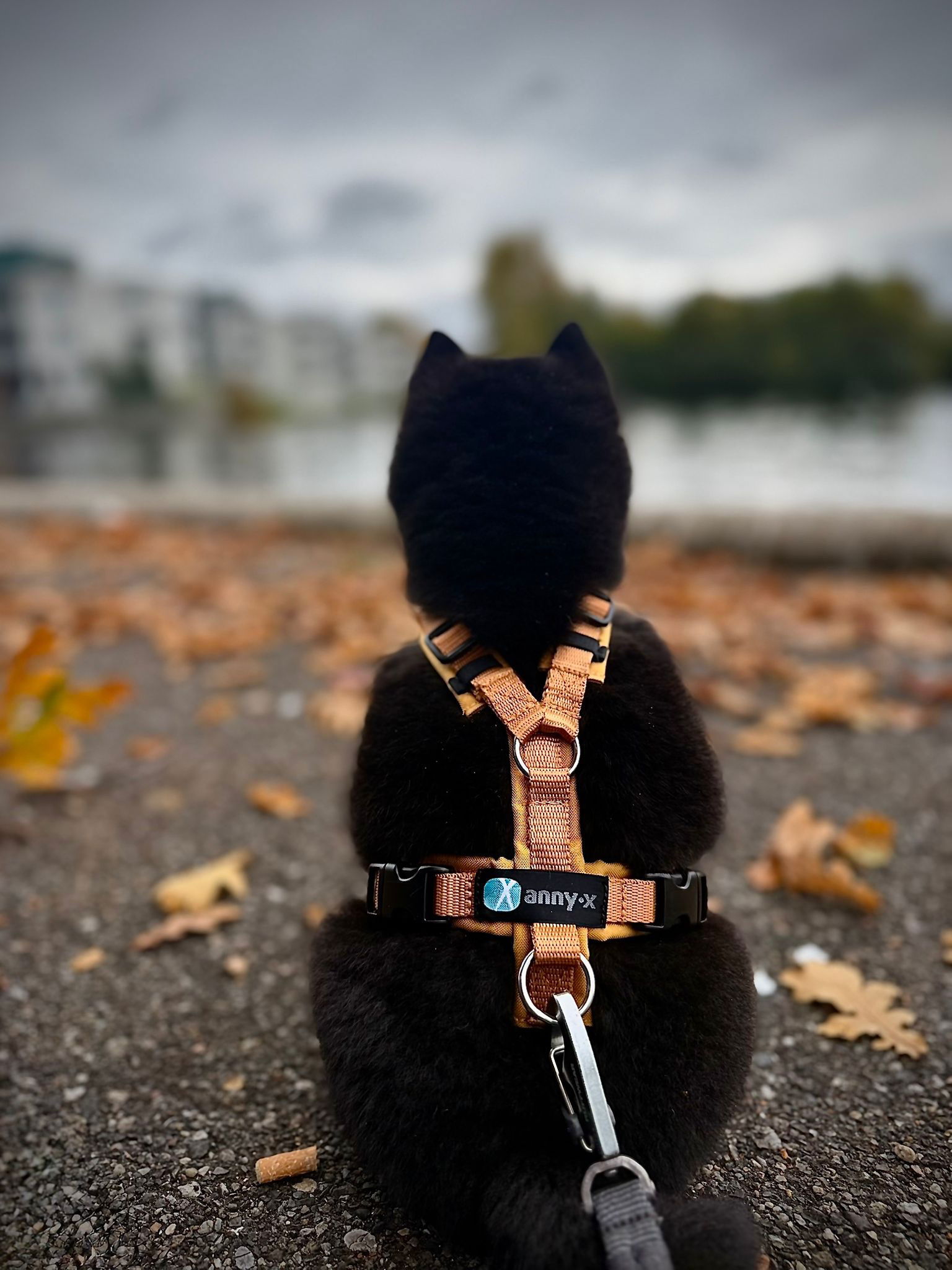 Anny x tuig Open met extra sluitingen! Diverse kleuren - Afbeelding 4