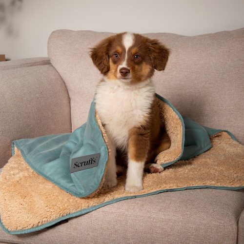 Scruffs Cosy Blanket - hondenkleed - Afbeelding 2