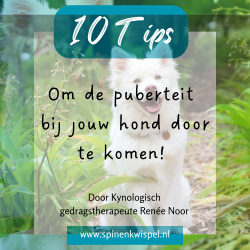 10 gratis tips Puberteit