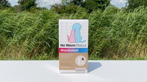 No Worm Diacur Giardiatest