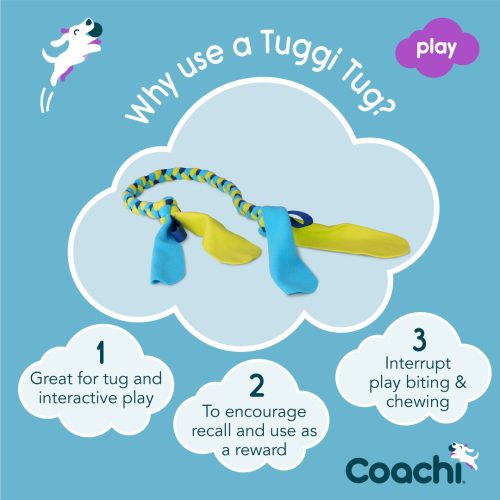 Coachi Tuggi Tug - trekspeeltje - Afbeelding 3