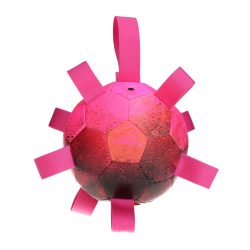 Dog Comets Hypernova roze bal
