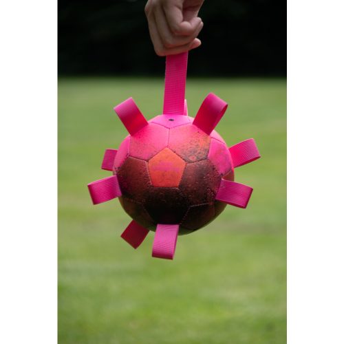 Dog Comets Hypernova roze bal - Afbeelding 2