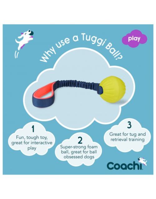 Coachi Tuggi Ball - hondenspeeltje - Afbeelding 3