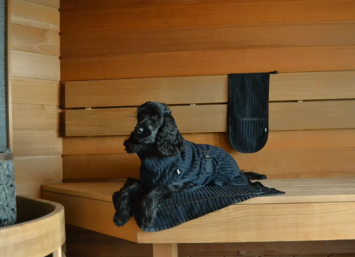 Aalto Rukka Pets x LUHTA HOME Aalto Badjas - Afbeelding 6