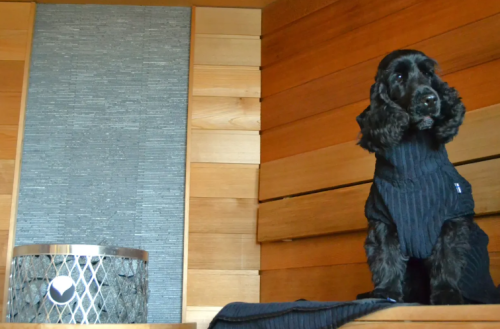 Aalto Rukka Pets x LUHTA HOME Aalto Badjas - Afbeelding 7