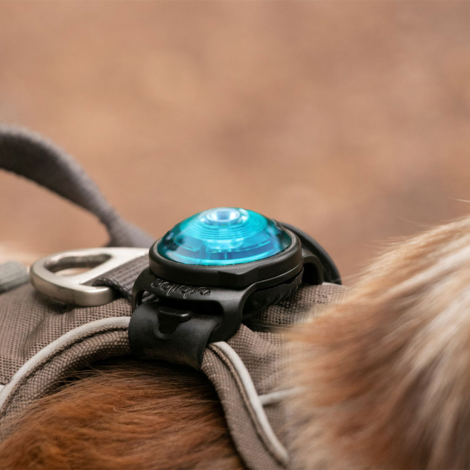 Orbiloc dog dual - veiligheidslampje - Afbeelding 2