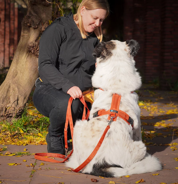 Verstelbare Anny x lijn "Classic Bolt" 3M - verschillende kleuren - Afbeelding 15